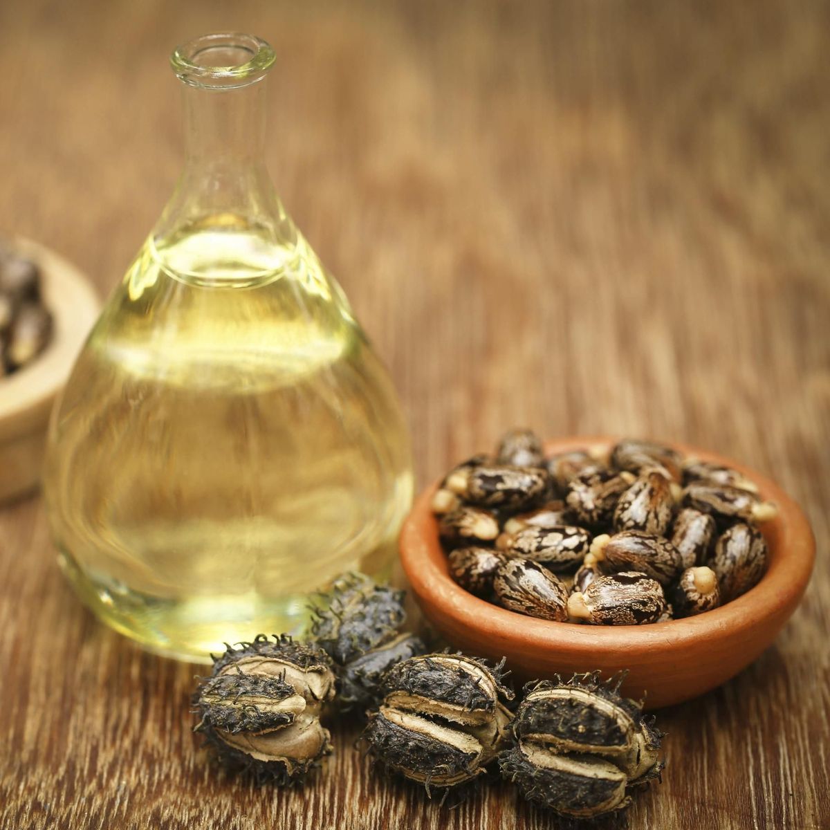 Tour d&rsquo;hoziron sur l&rsquo;huile de ricin